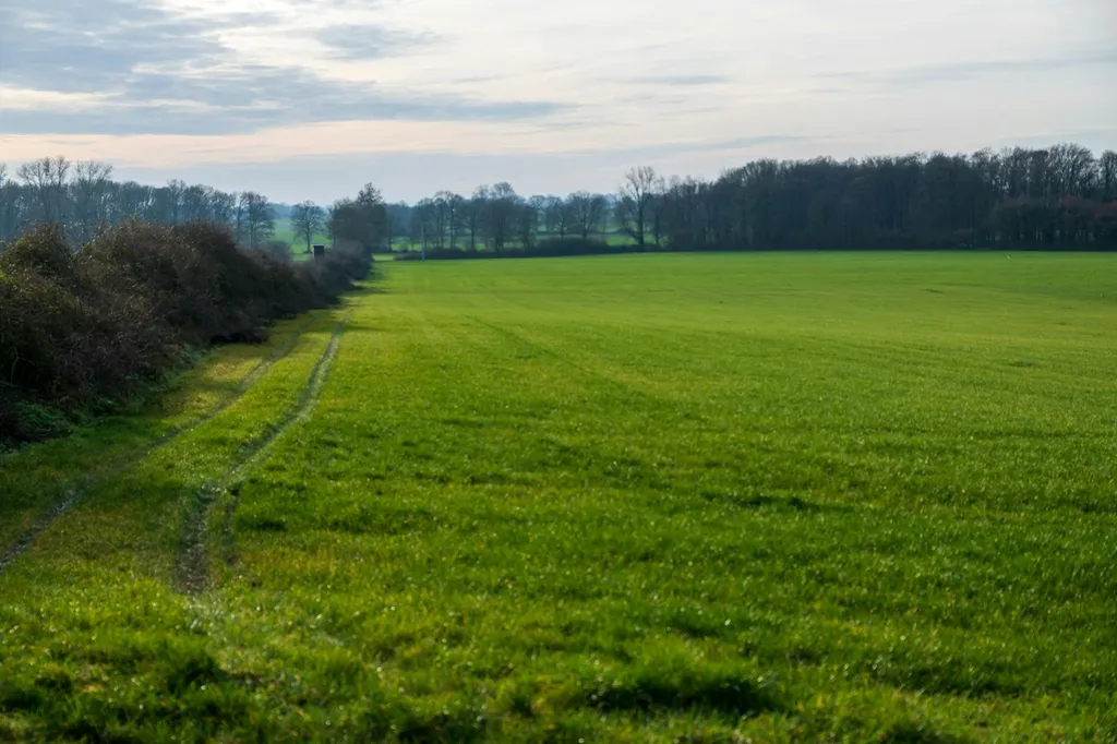 reglementations-sur-les-terres-agricoles